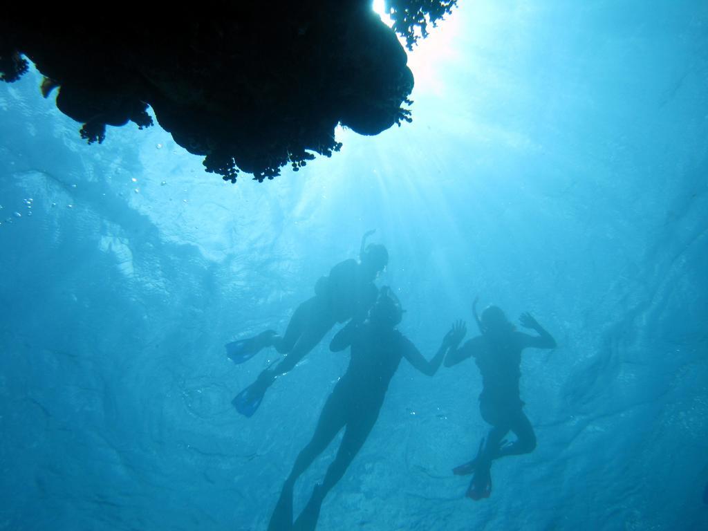 קיי קולקר Caye Reef Condos מראה חיצוני תמונה