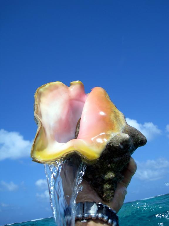 קיי קולקר Caye Reef Condos מראה חיצוני תמונה